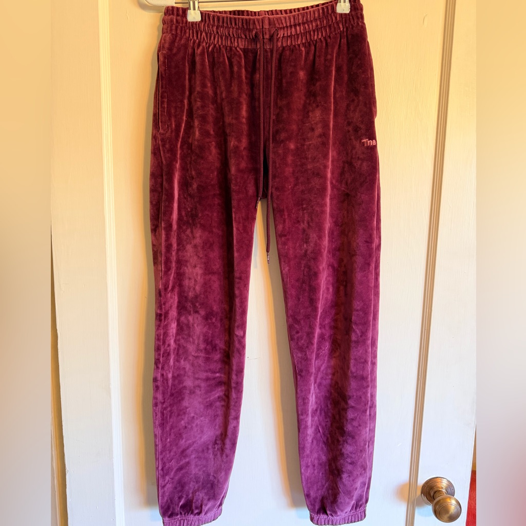 Tna Aritzia Velour Joggers Xs Burgundy Plum Velvet Sweatpants